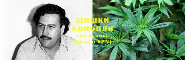 MDMA Богородицк